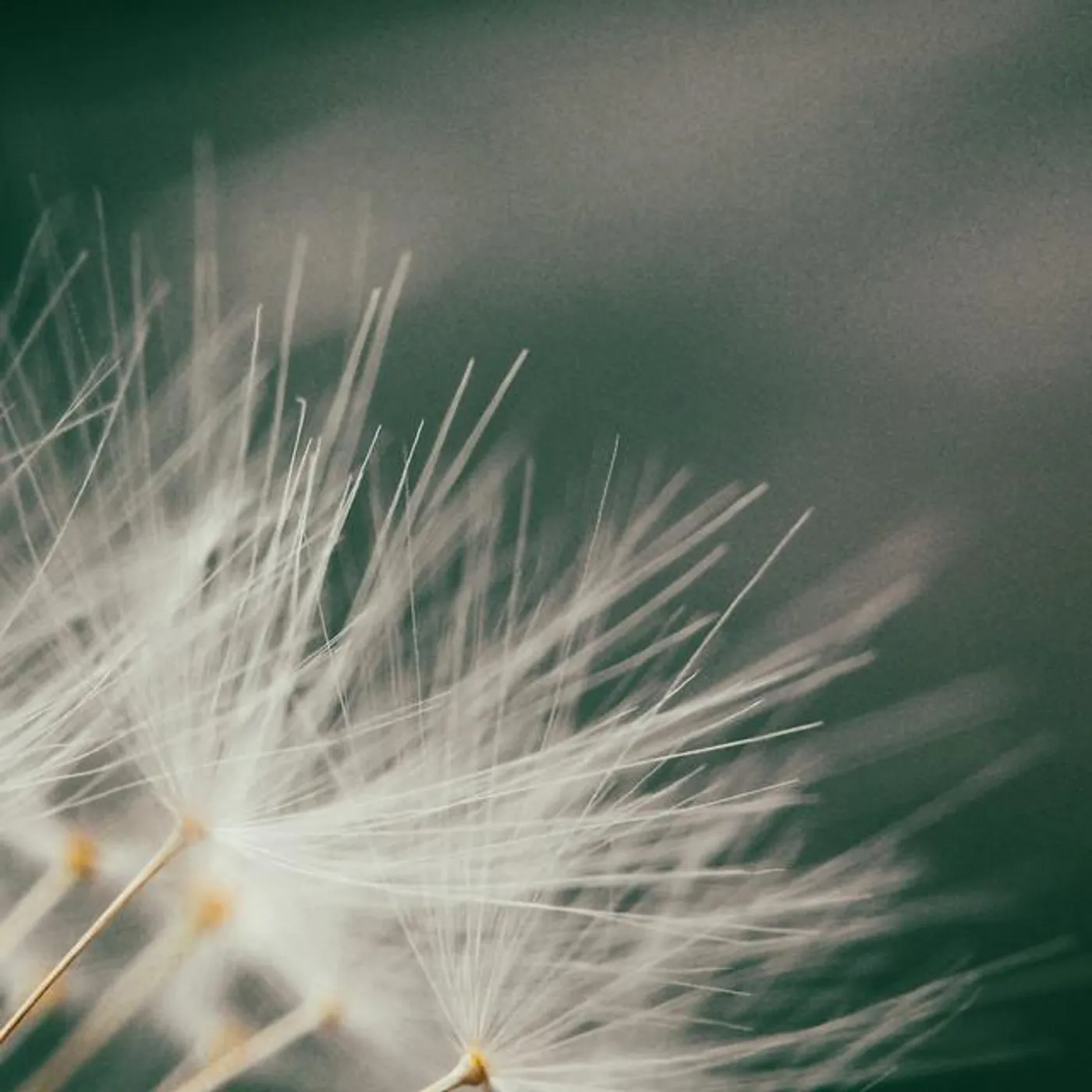 Lisa Kriegler Brand Page