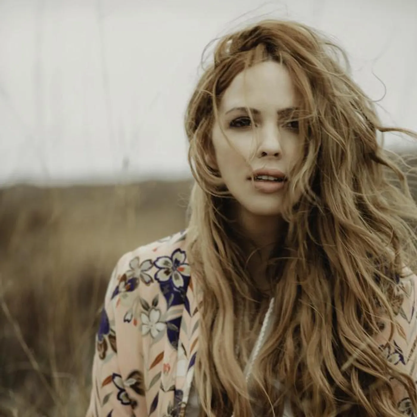 Lisa Lambe Brand Page