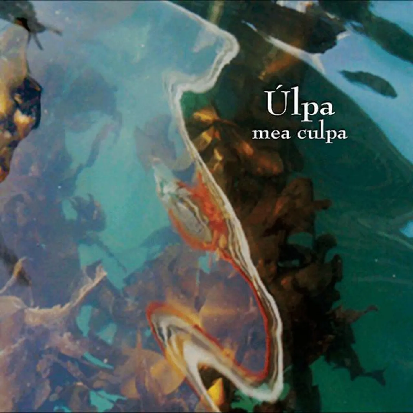 Úlpa