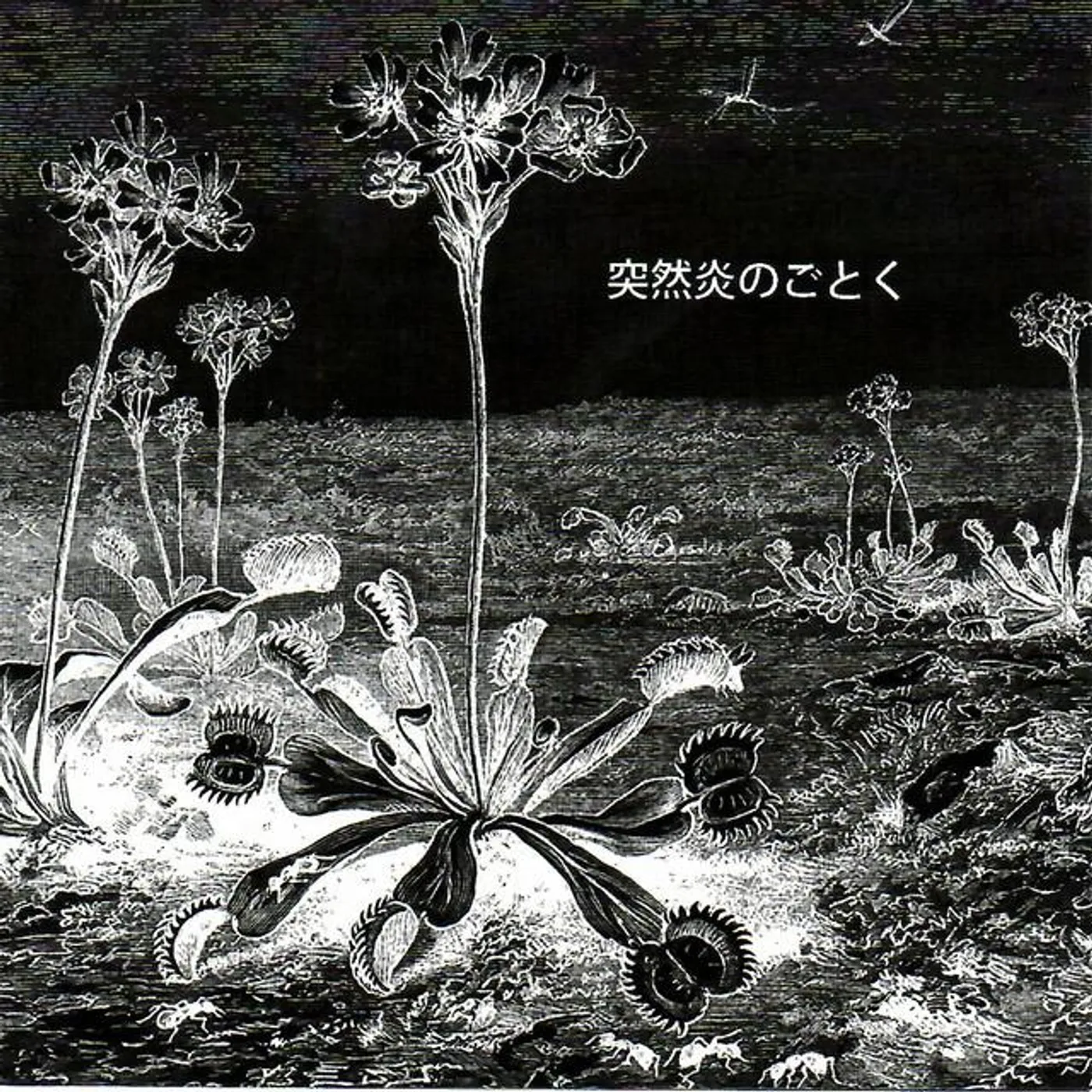 LSD March Brand Page