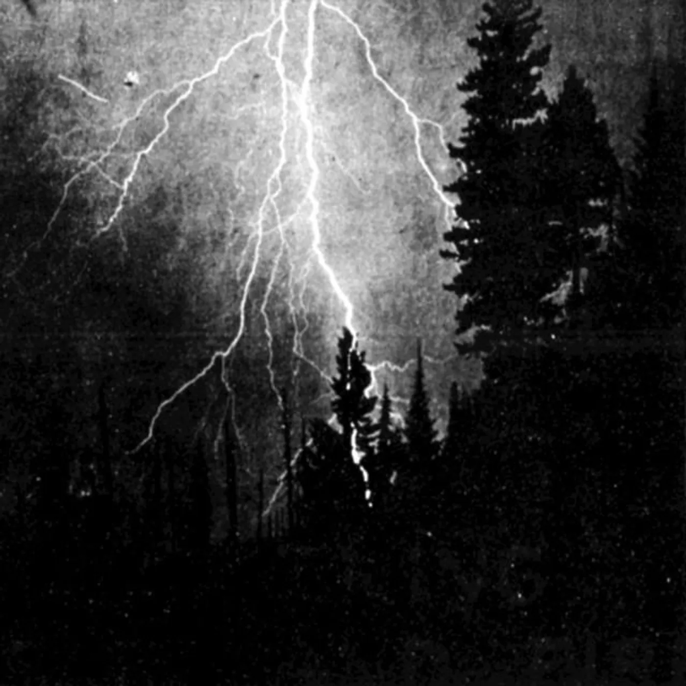 Lubbert Das Brand Page