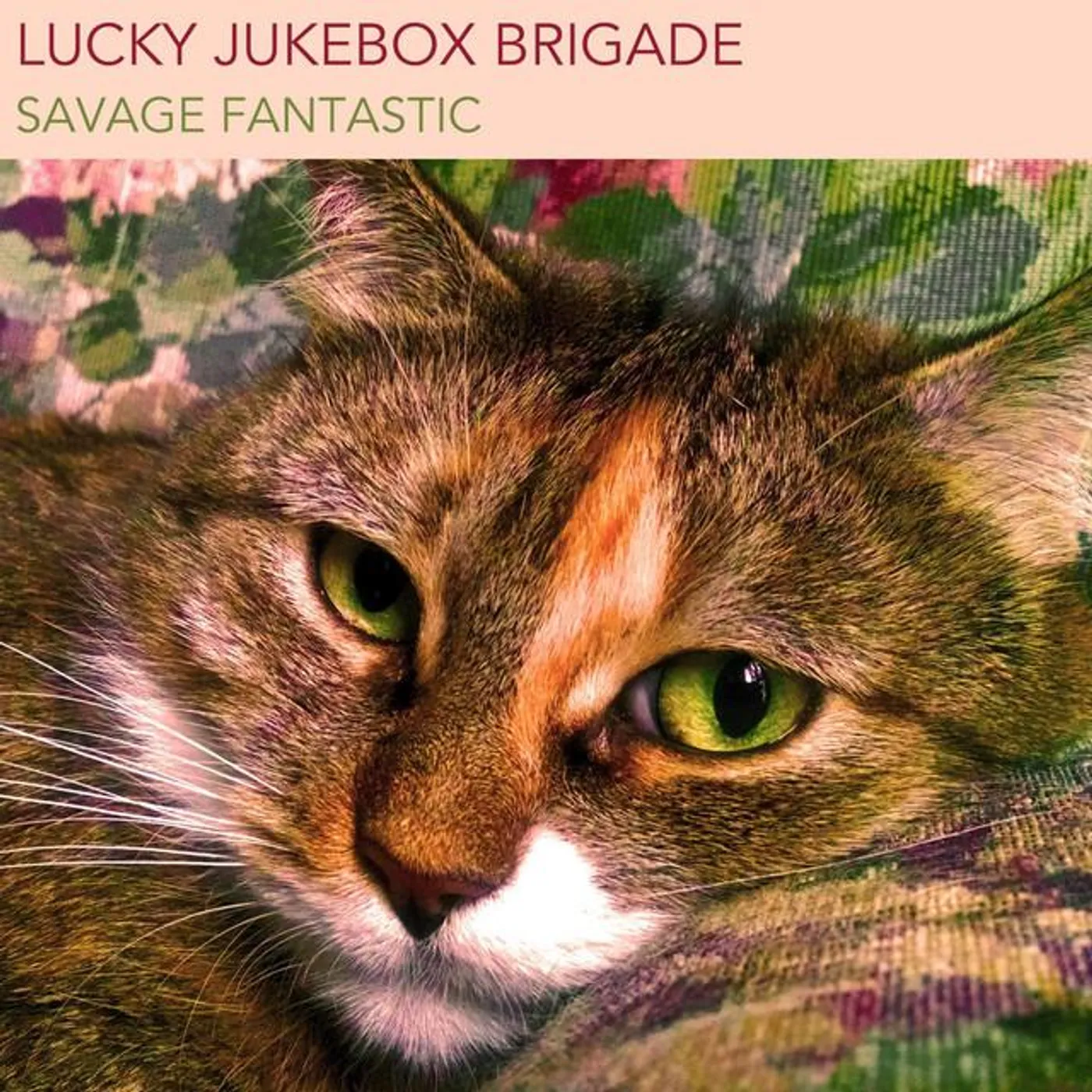 Lucky Jukebox Brigade