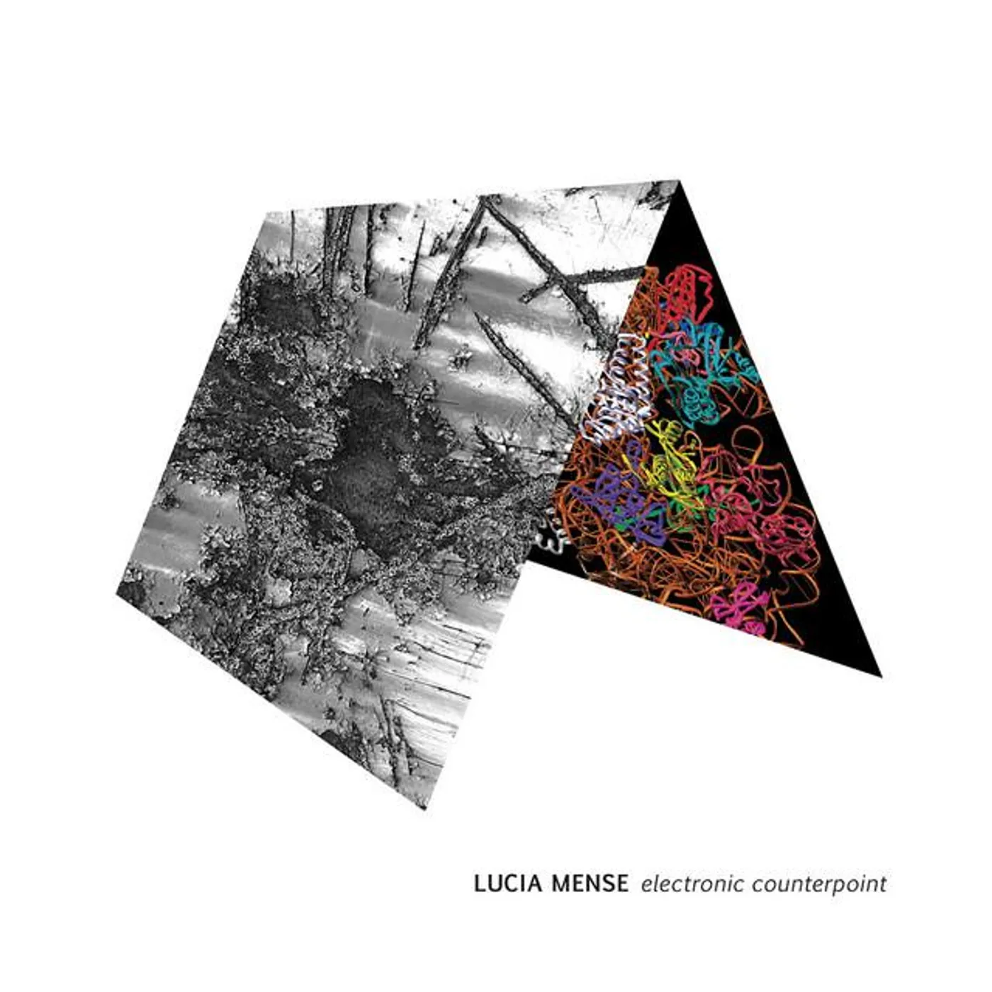 Lucia Mense Brand Page