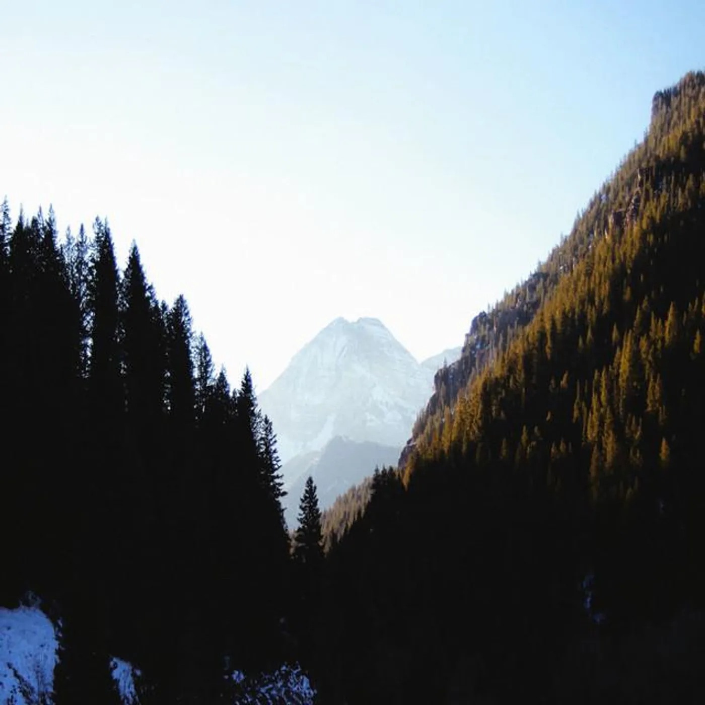 Lucian the Wolfbearer