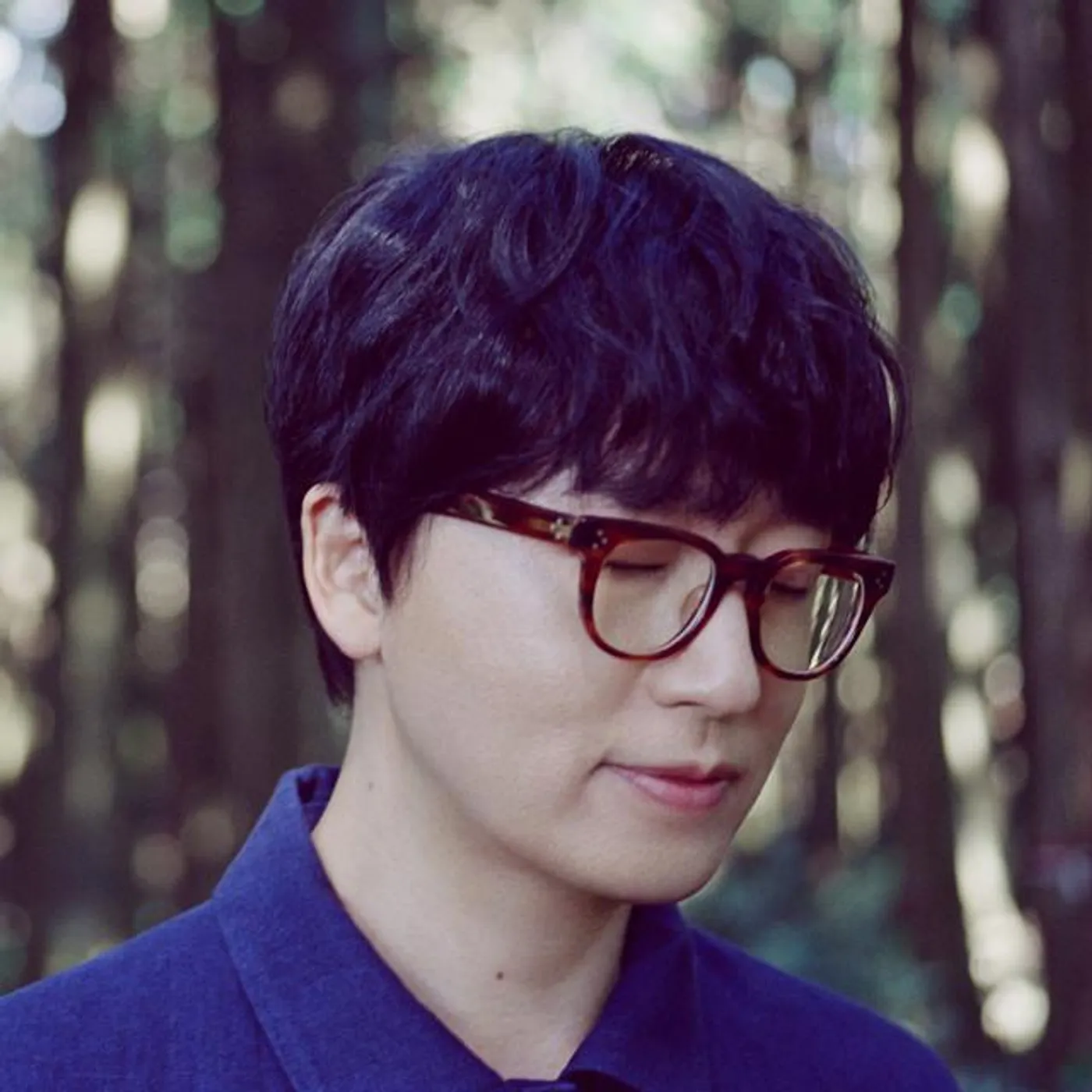 Lucid Fall Brand Page