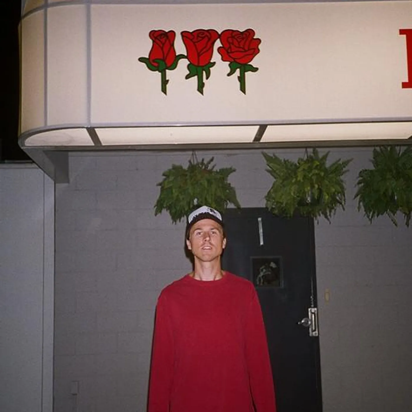 Lucid VanGuard Brand Page