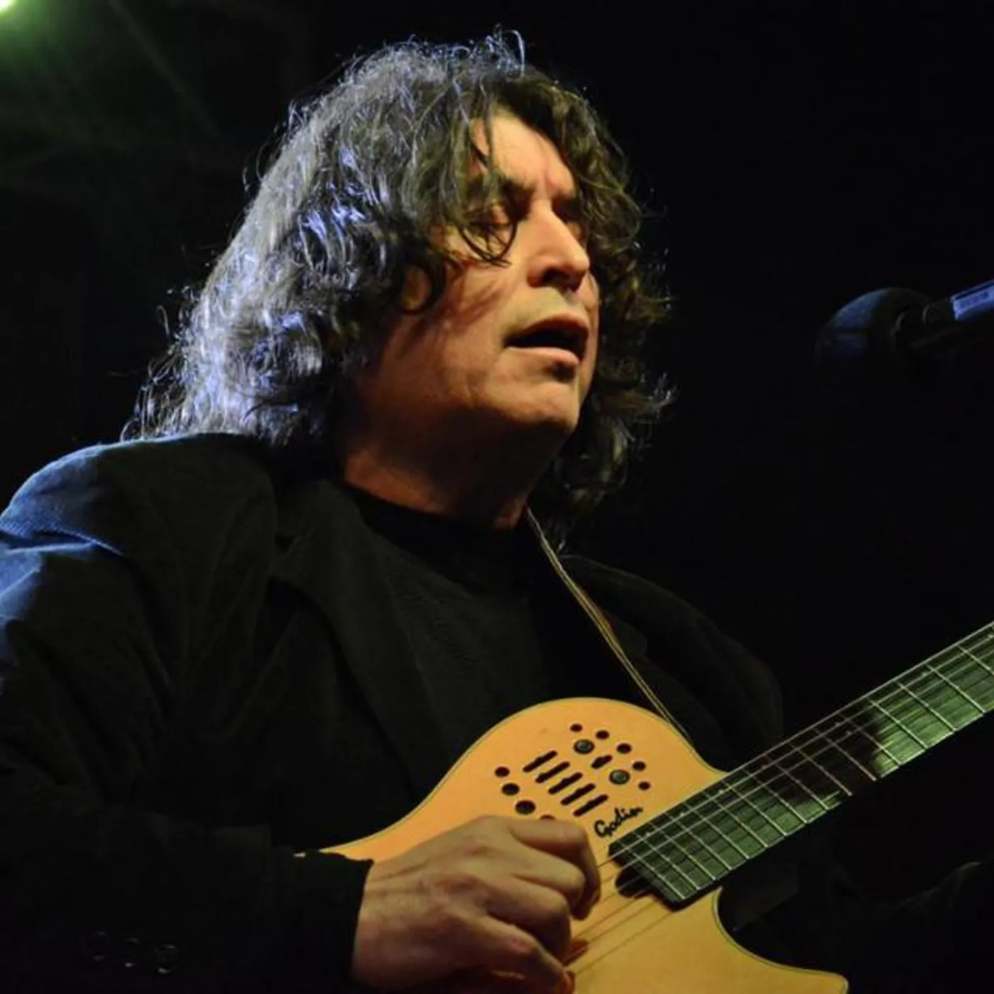 Luis Salinas Brand Page