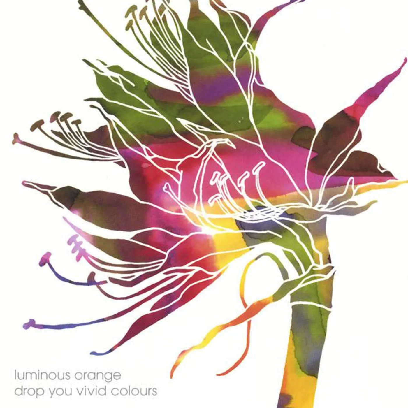 Luminousorange Brand Page