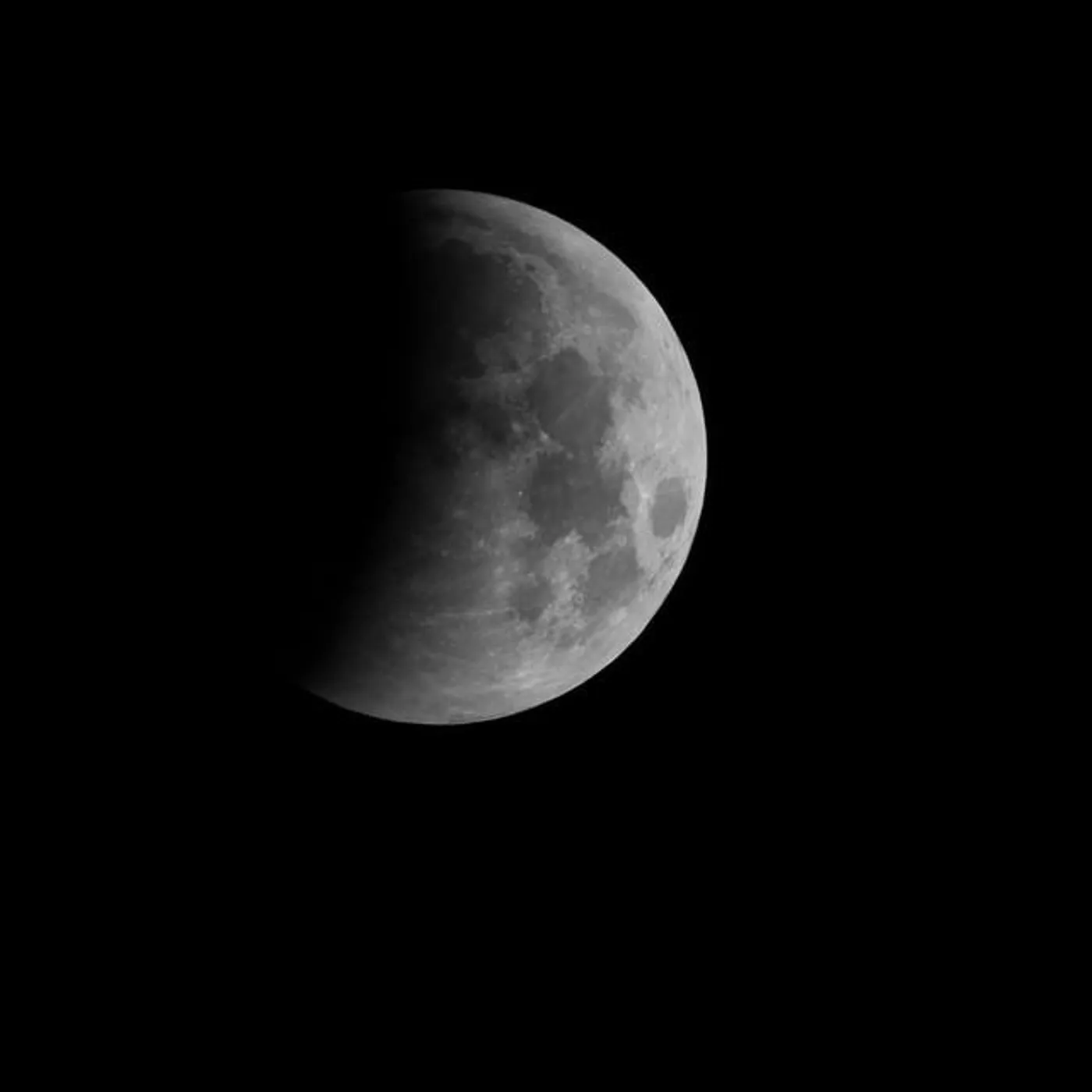 Luna Acantha Brand Page