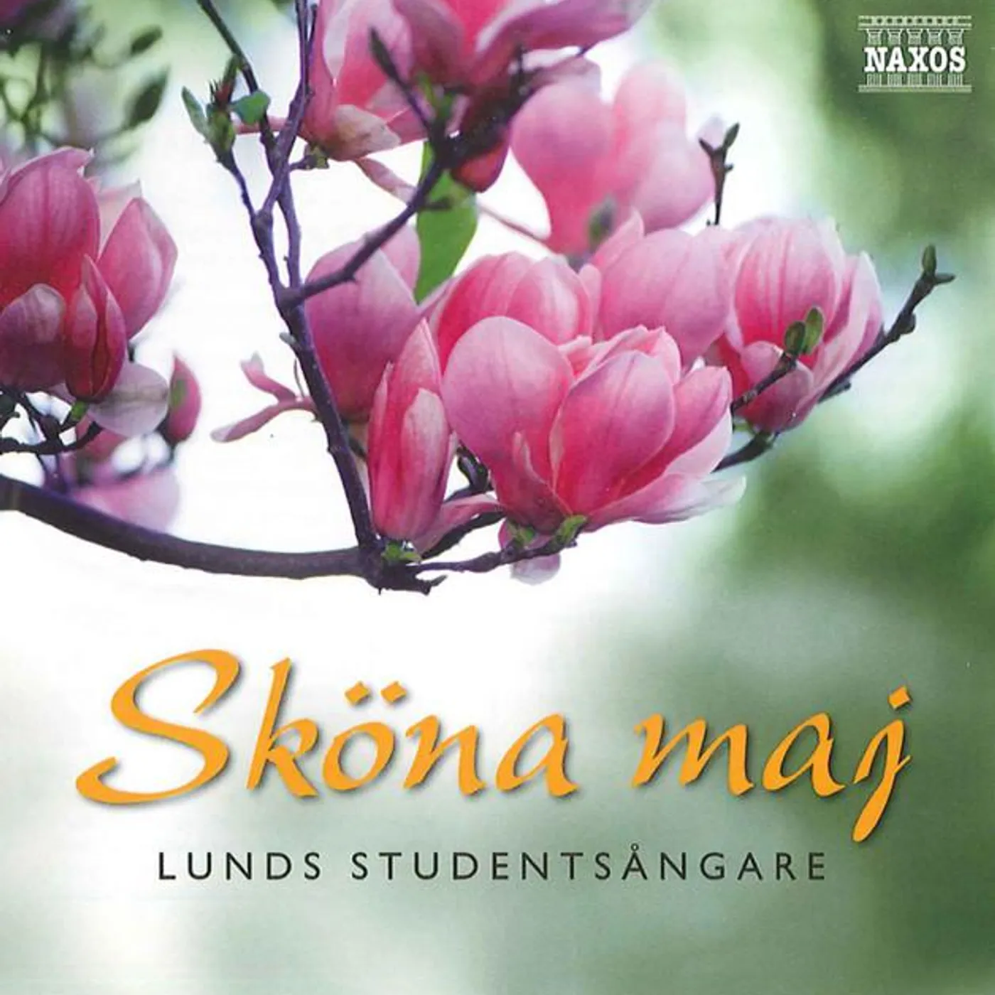 Lunds Studentsångare