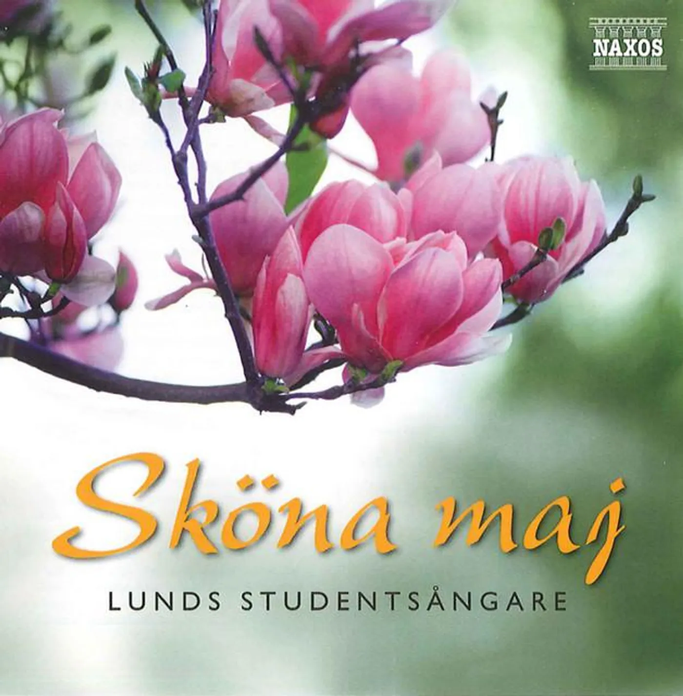 Lunds Studentsångare