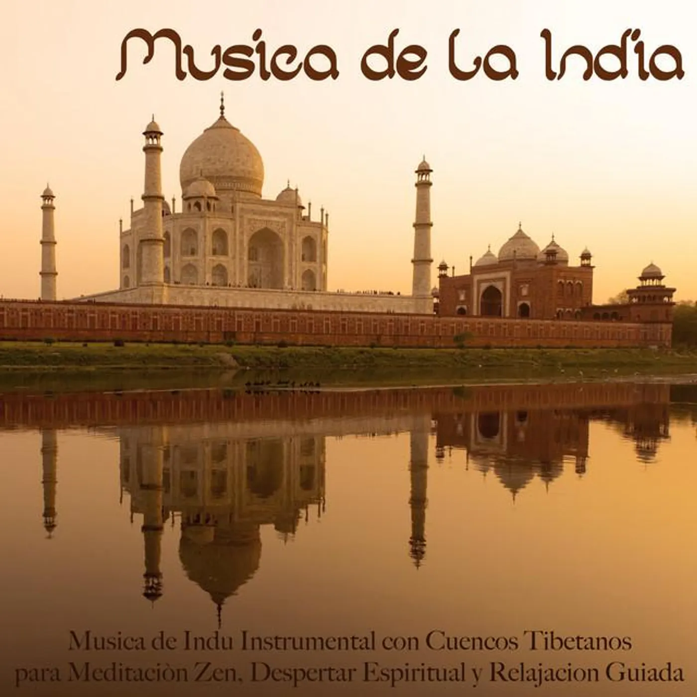 Música De La India