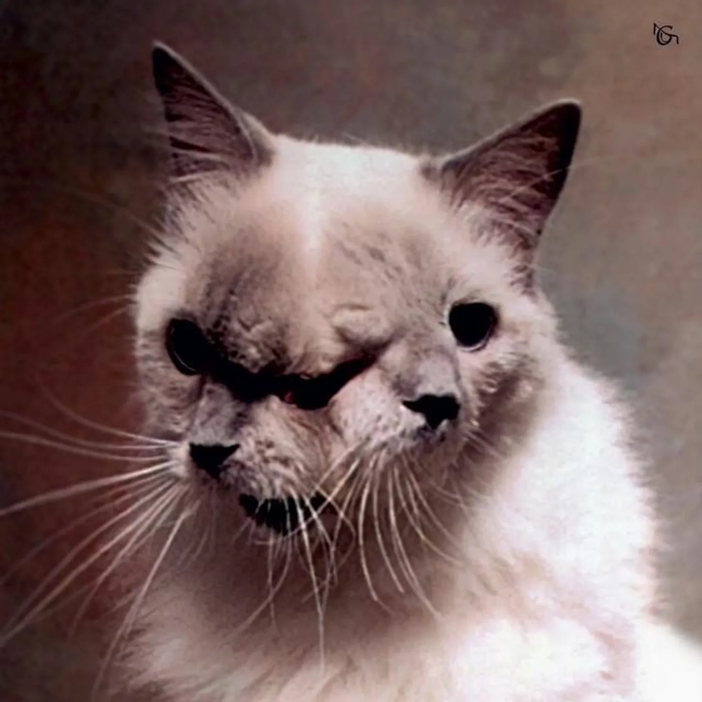 Mouchoir Étanche Brand Page