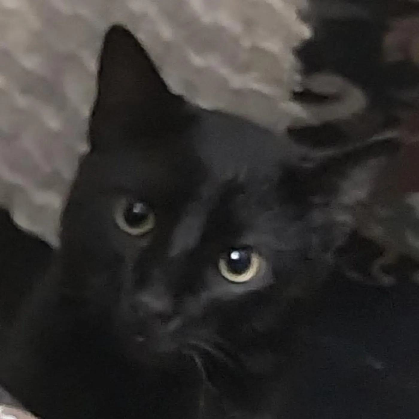 Mouataz X Brand Page