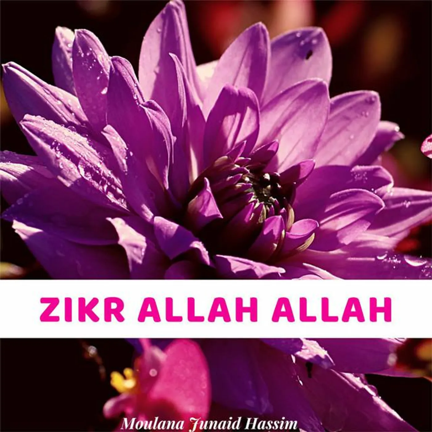 Moulana Junaid Hassim Brand Page