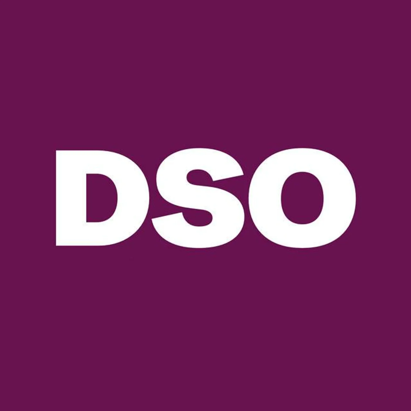 Deutsches Symphonie-Orchester Berlin Brand Page