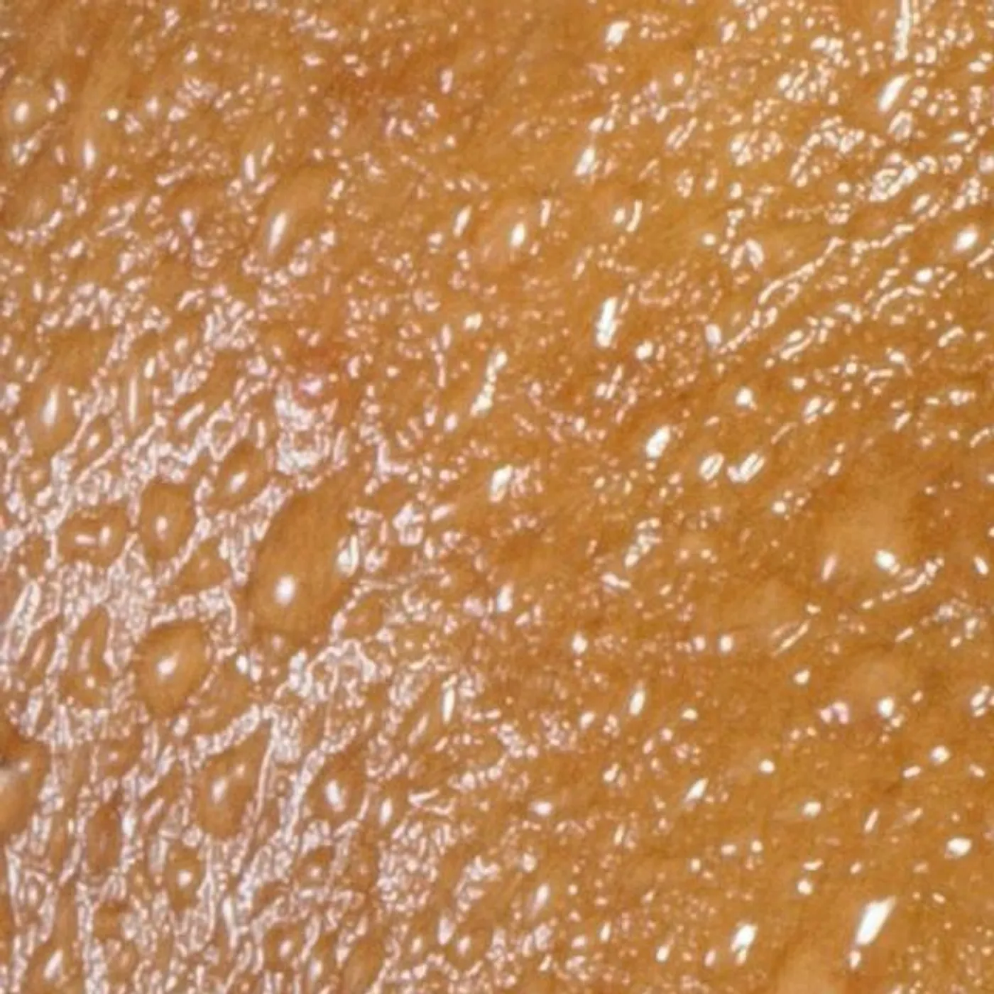 Moderate Rebels Brand Page