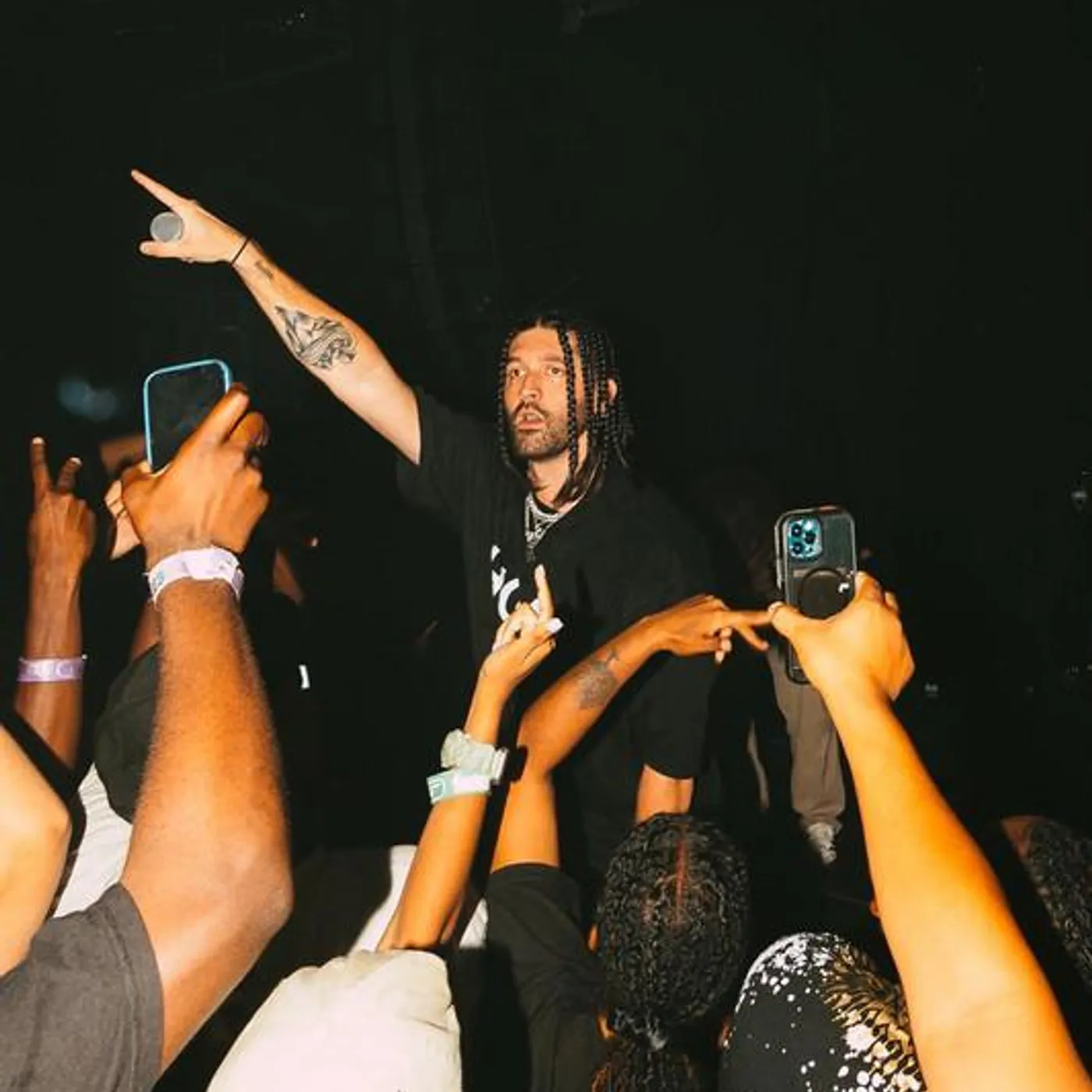 Mogli the Iceburg Brand Page