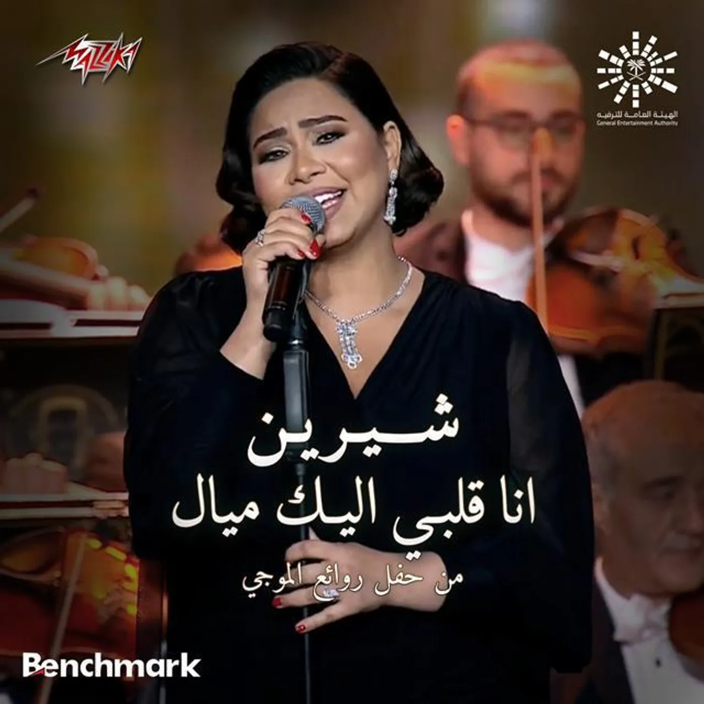 Mohamed El Mougi Brand Page