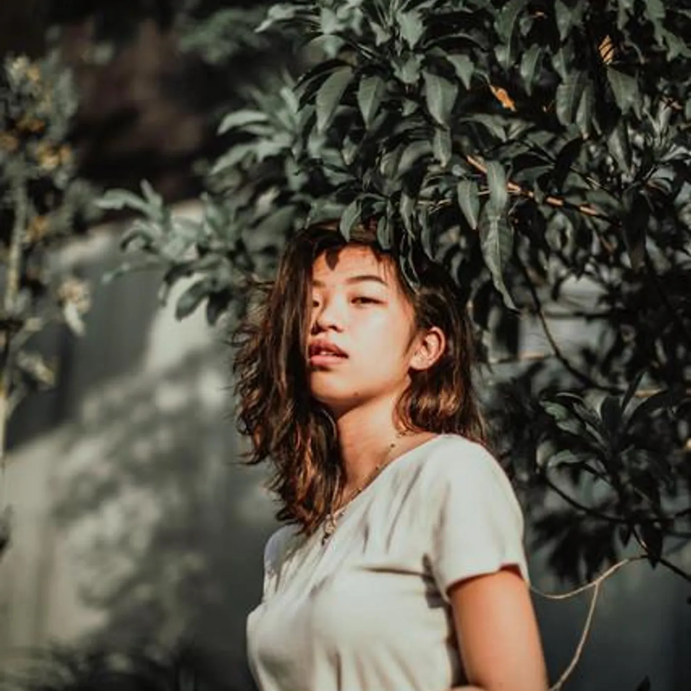 Moira Cheng Brand Page