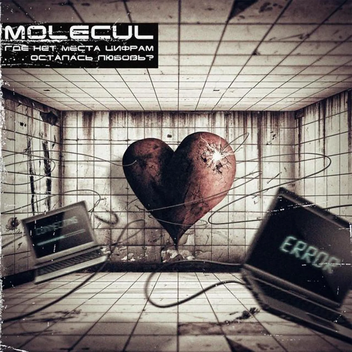 Molecul Brand Page
