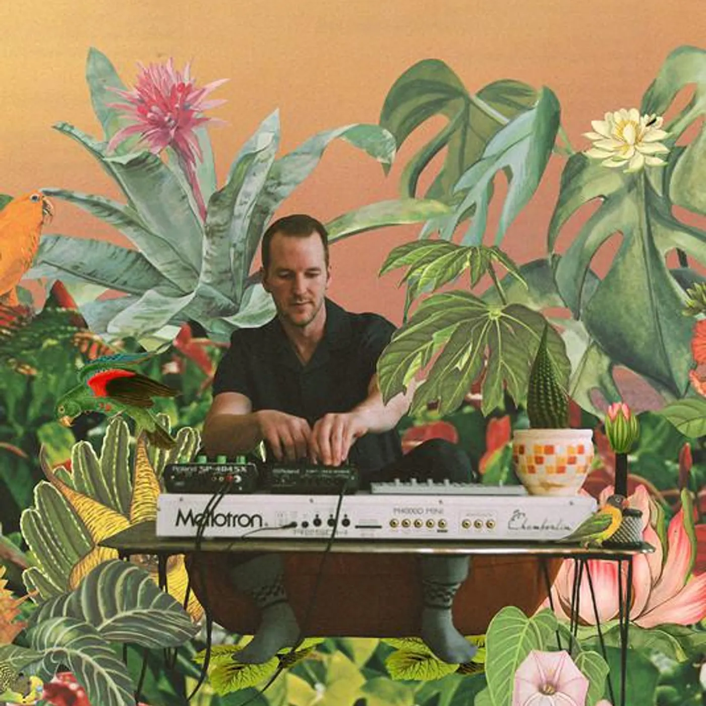 Monster Rally Brand Page