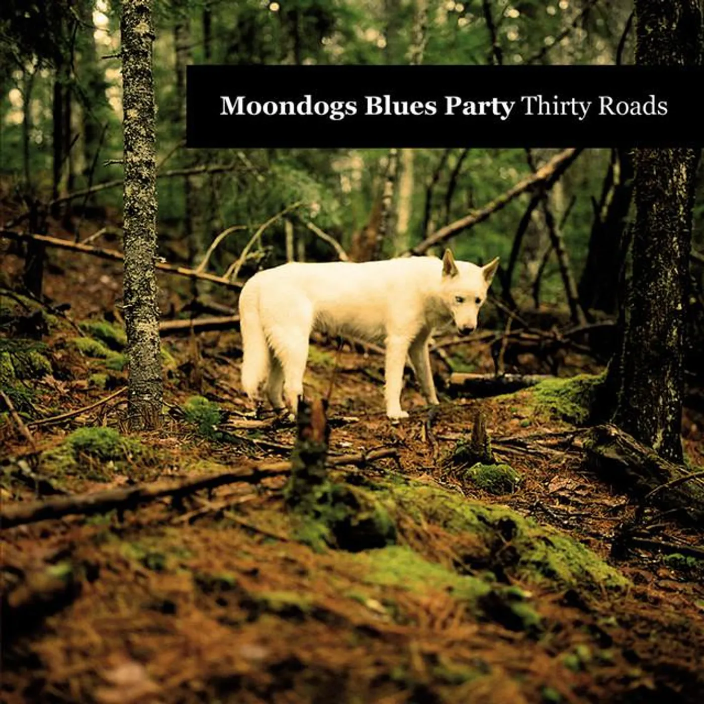 Moondogs Blues Party