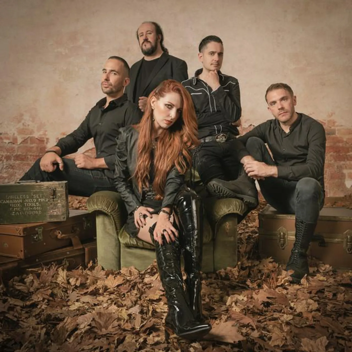 Moonlight Haze Brand Page