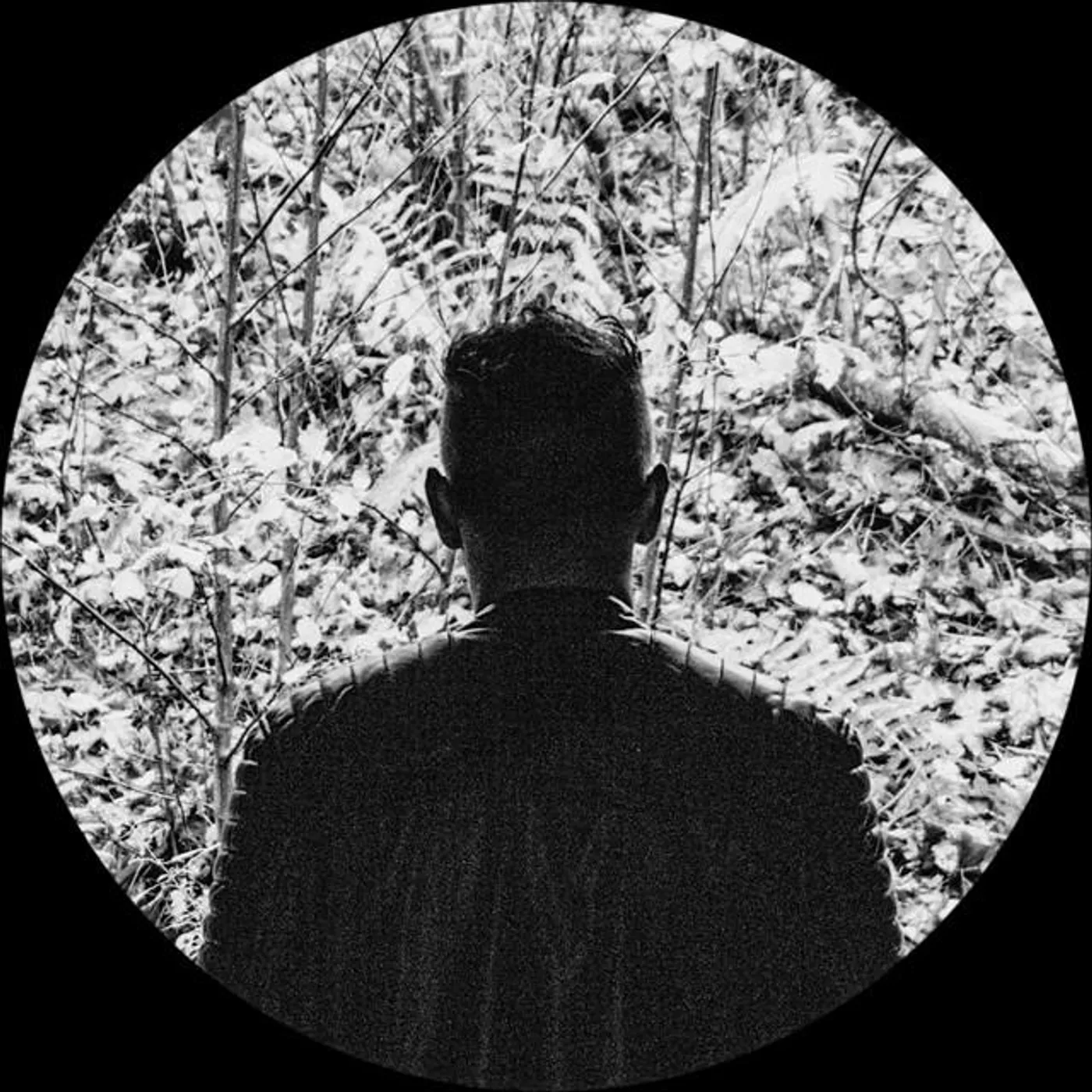 Mord Fustang Brand Page