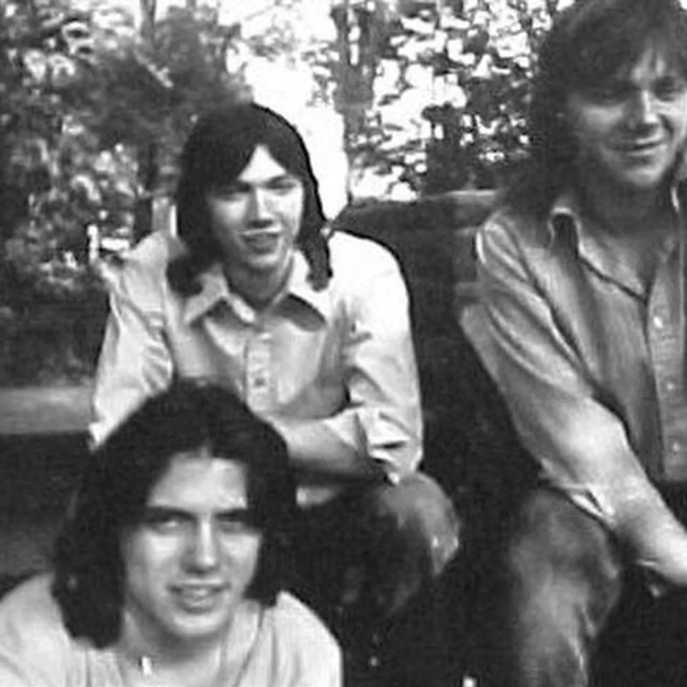 Morly Grey Brand Page