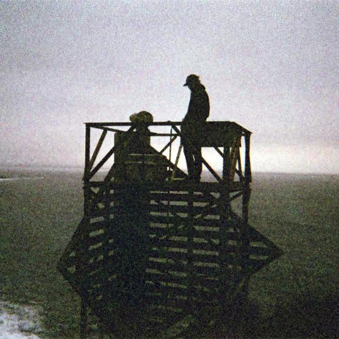 Moss Harvest Brand Page