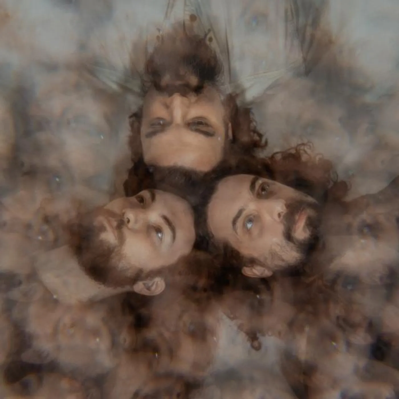 Moss Manor Brand Page