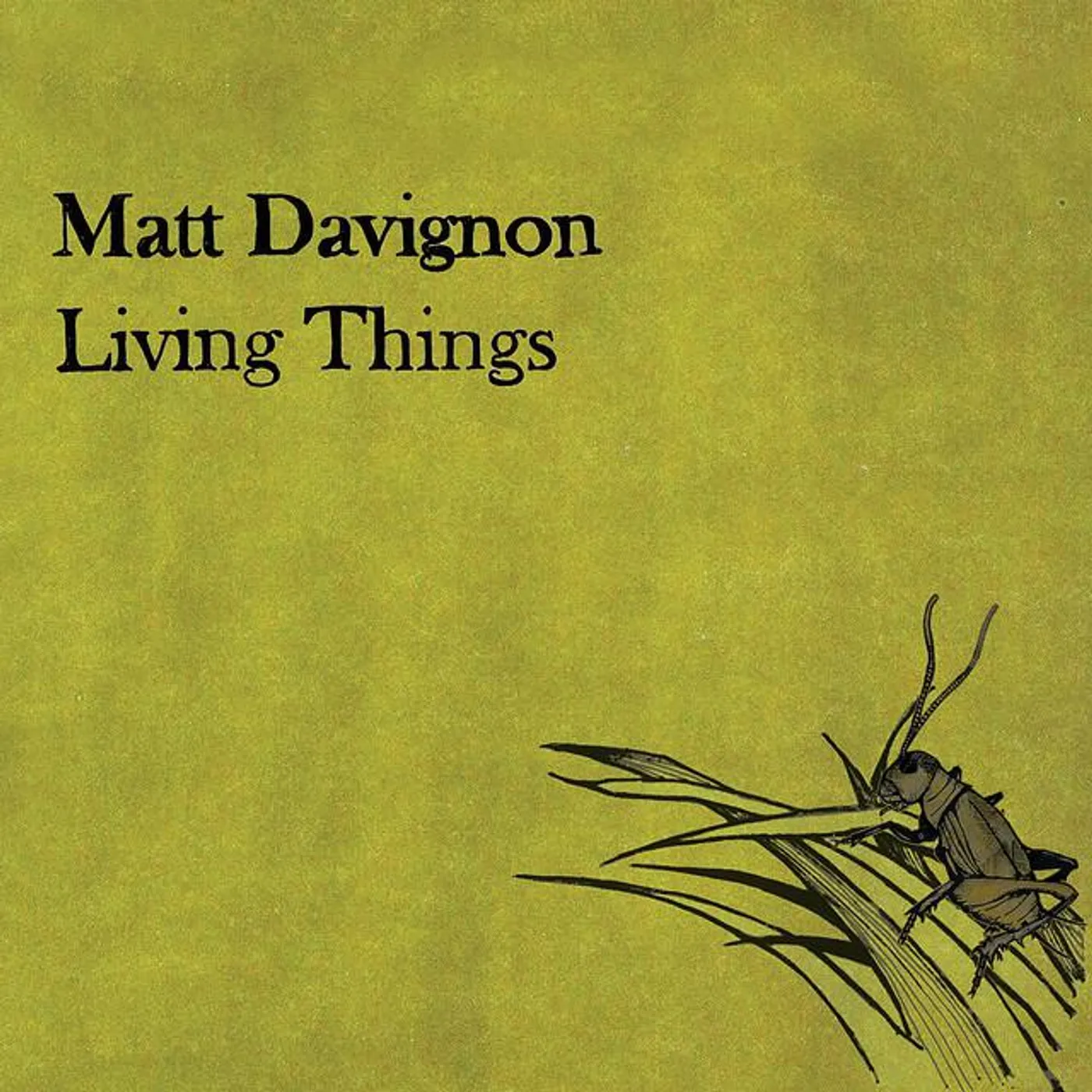 Matt Davignon