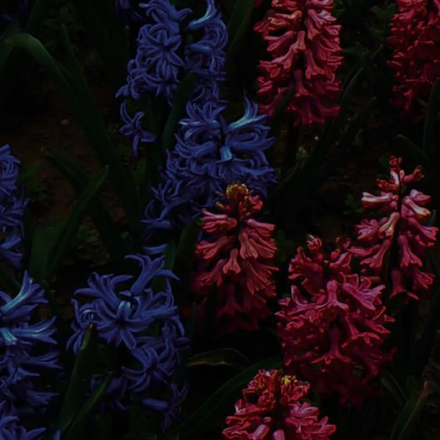 Matt Gilmour Brand Page