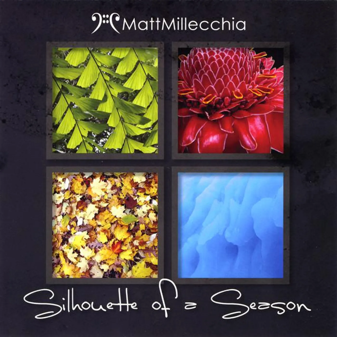 Matt Millecchia Brand Page