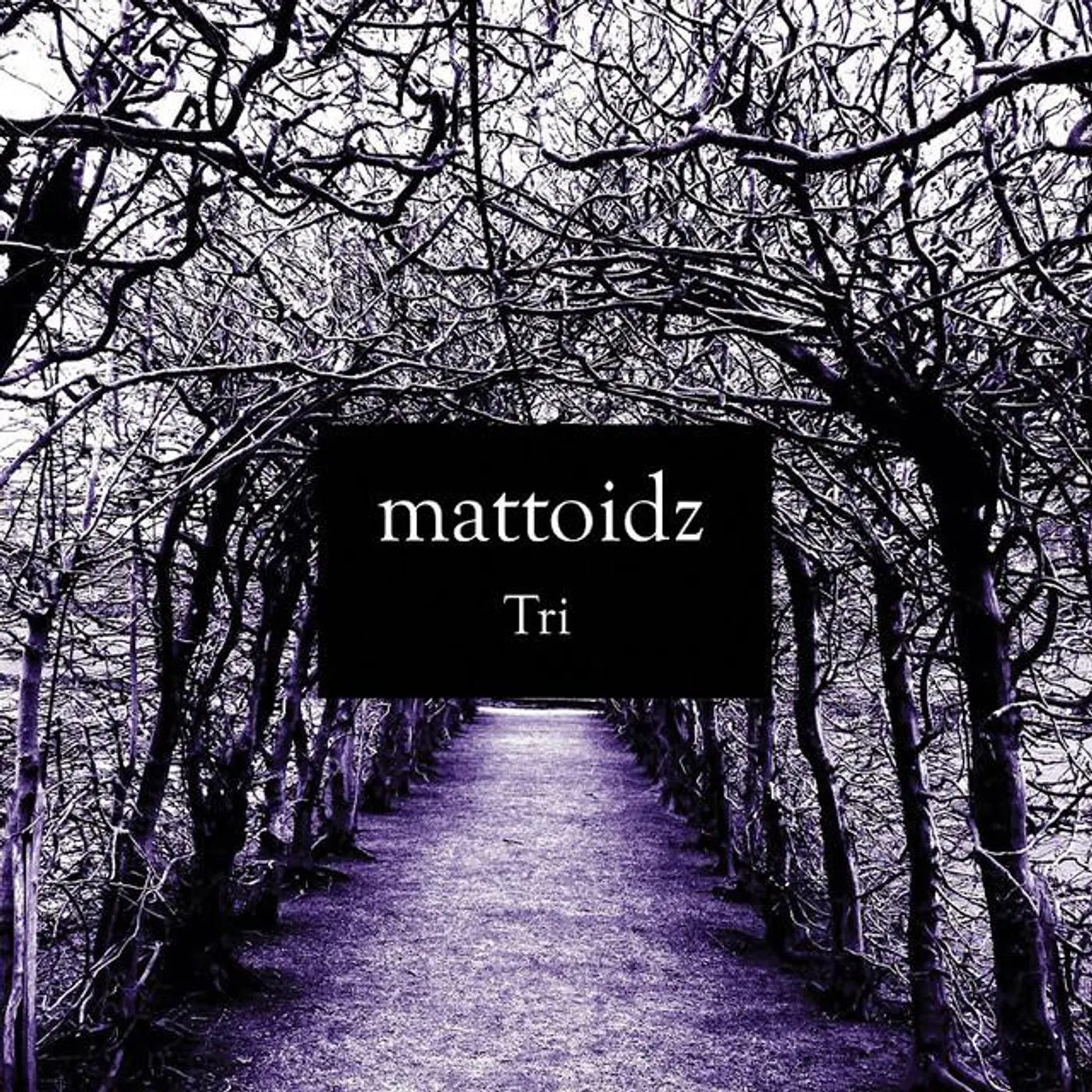 Mattoidz
