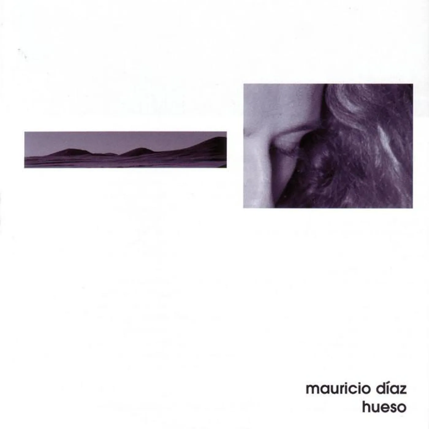 Mauricio Díaz "Hueso"