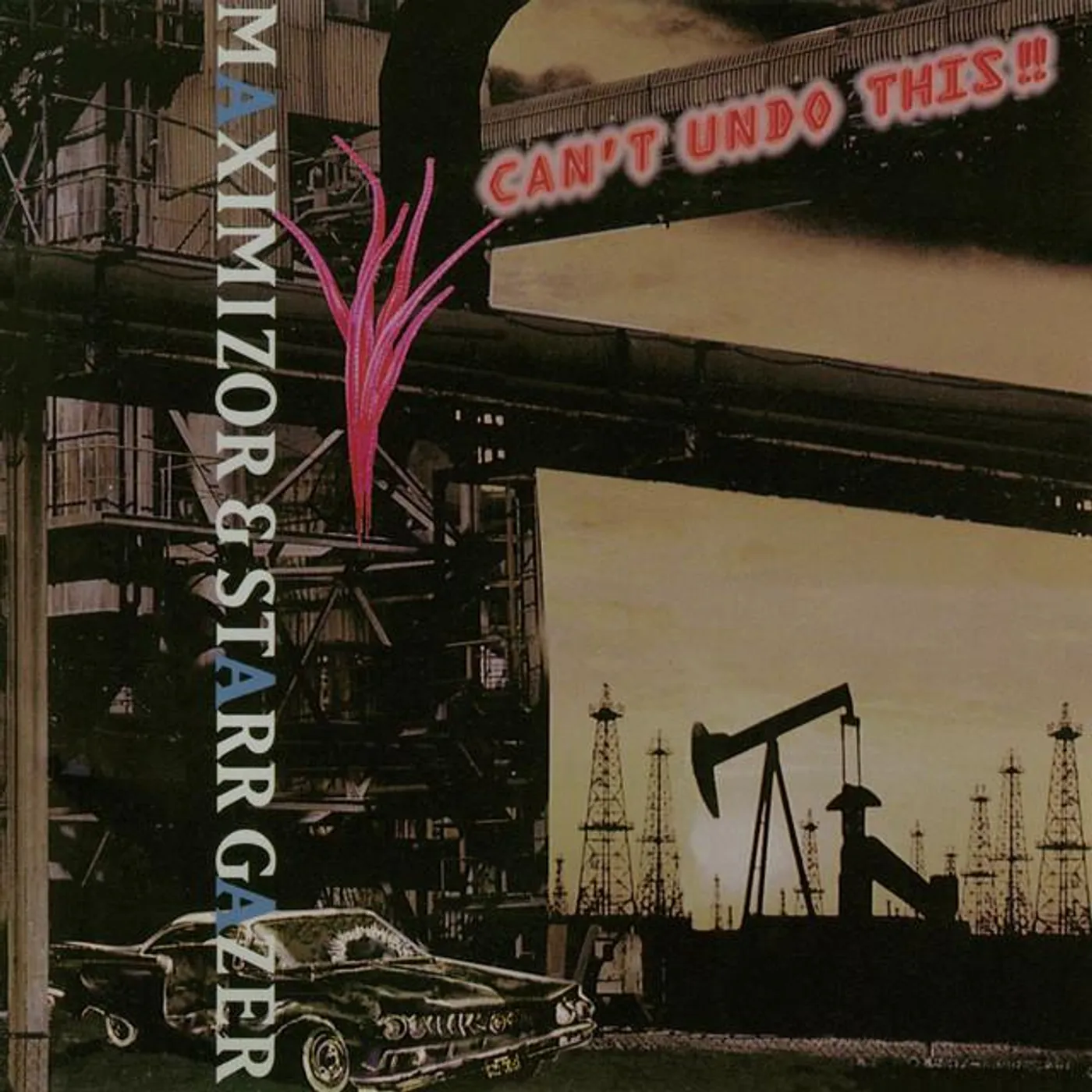 MAXIMIZOR Brand Page