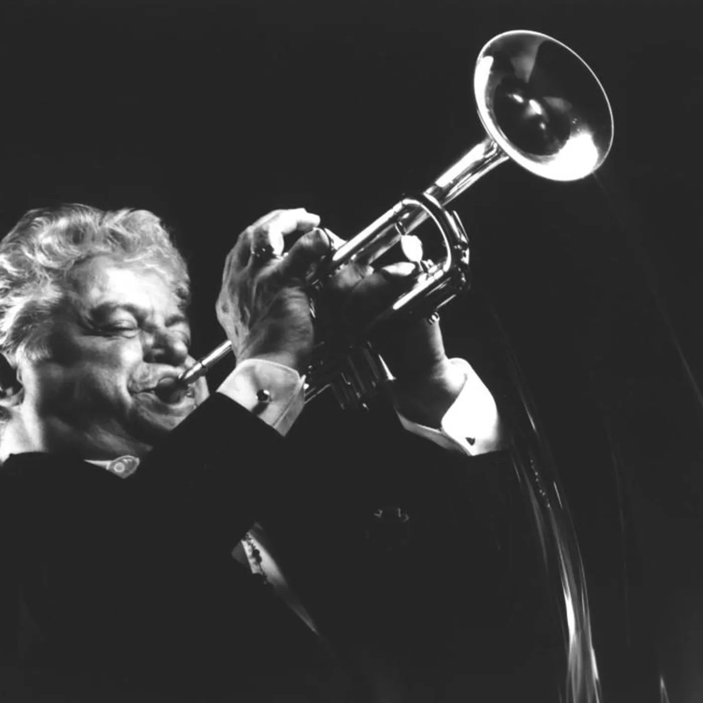 Maynard Ferguson Brand Page