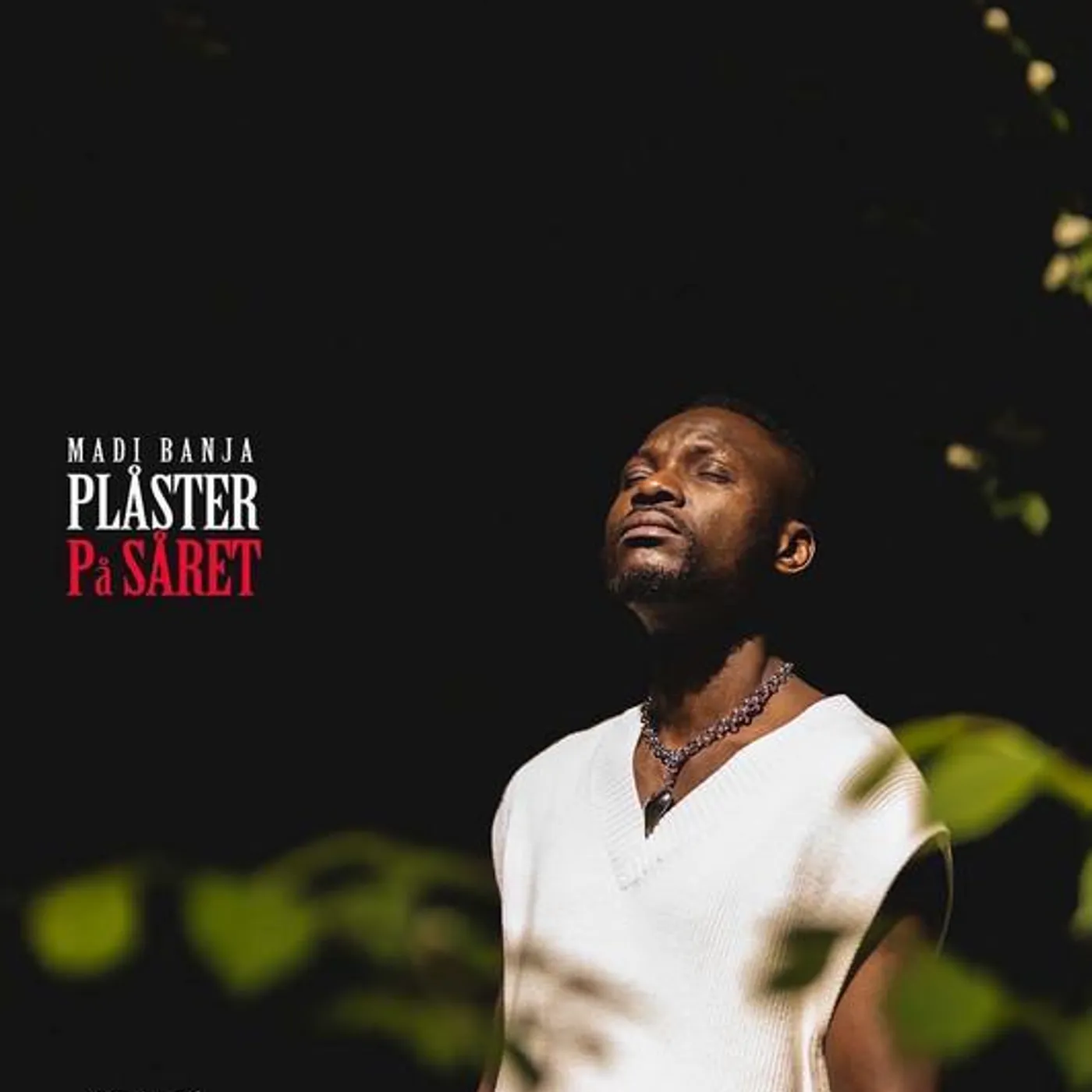 Madi Banja Brand Page