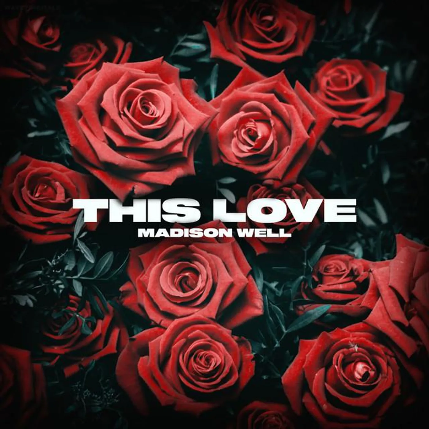 Madison Well Brand Page