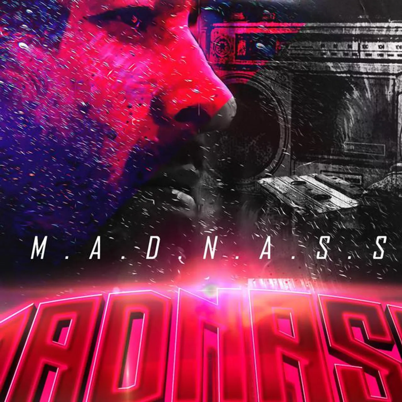 Madnass Brand Page