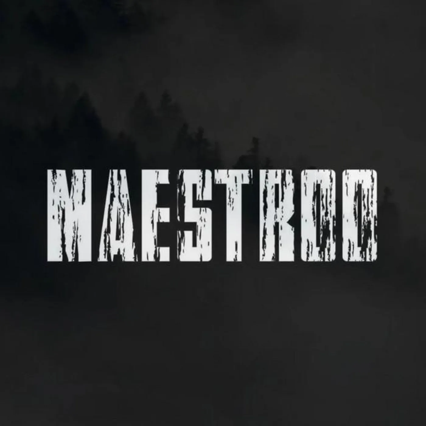 Maestroo Brand Page