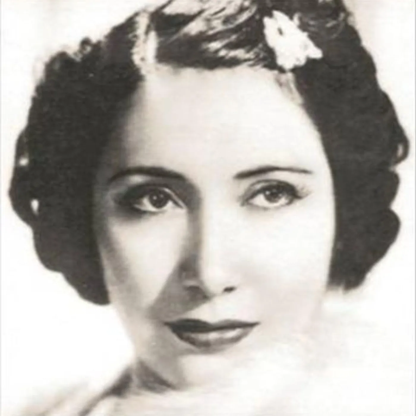 Mafalda Favero Brand Page