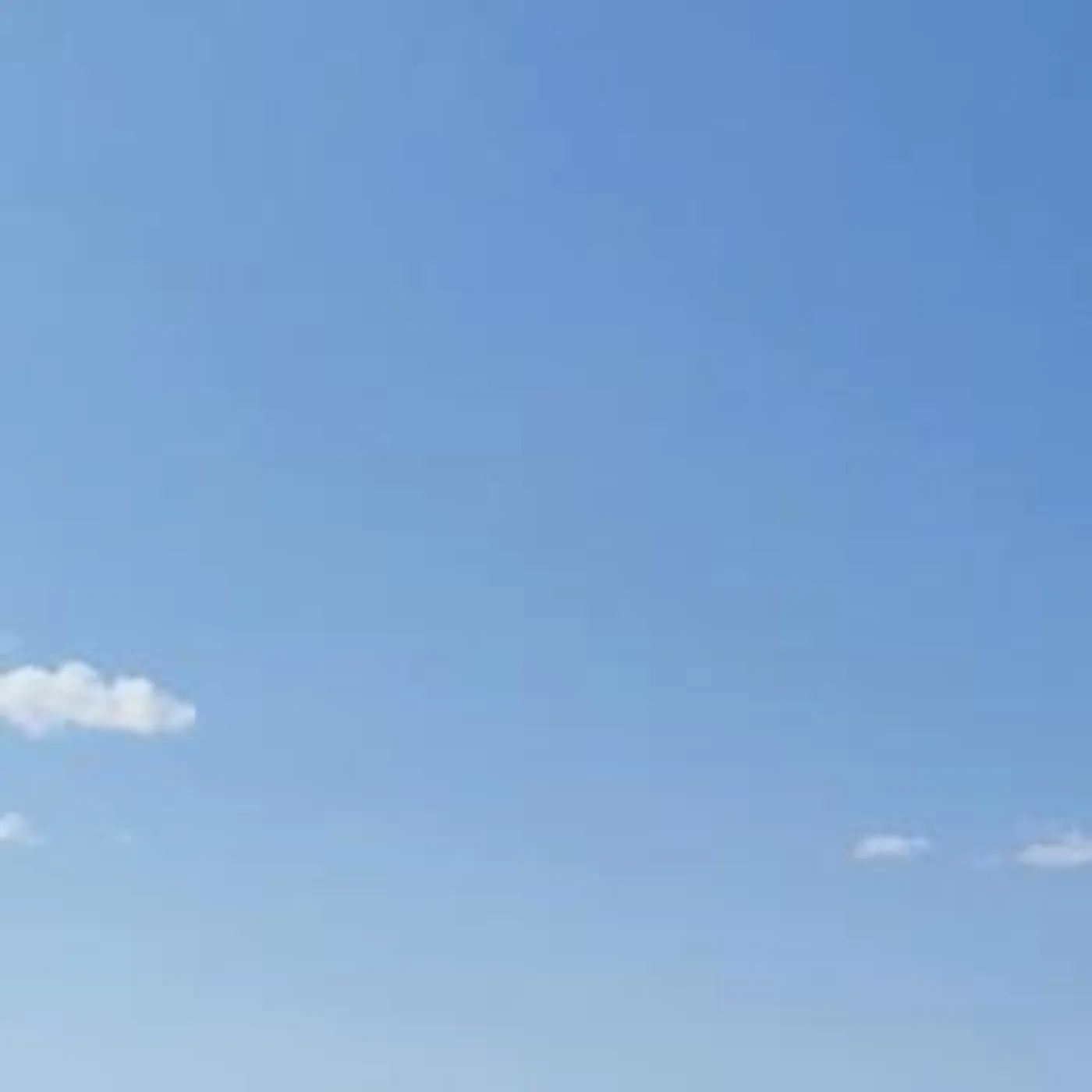 Maggie Petkovic Brand Page