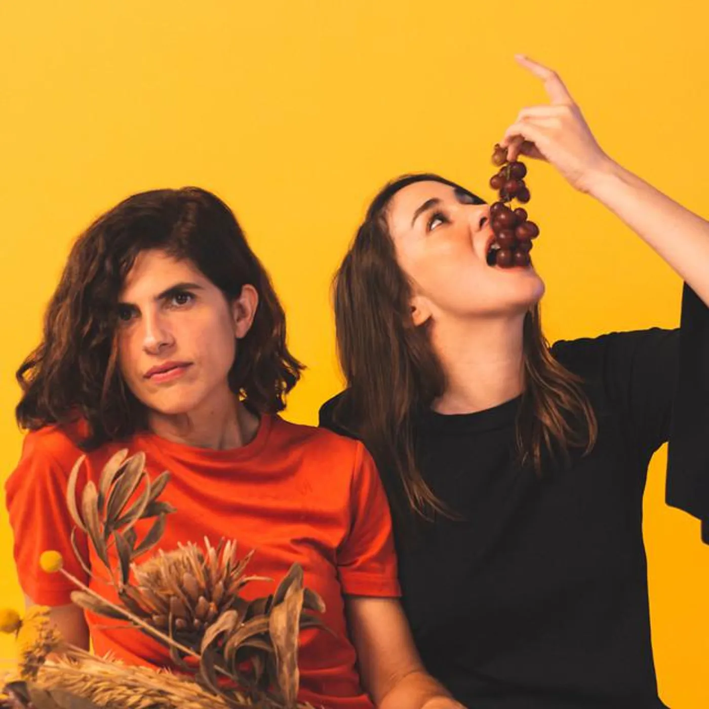 Magia Bruta Brand Page