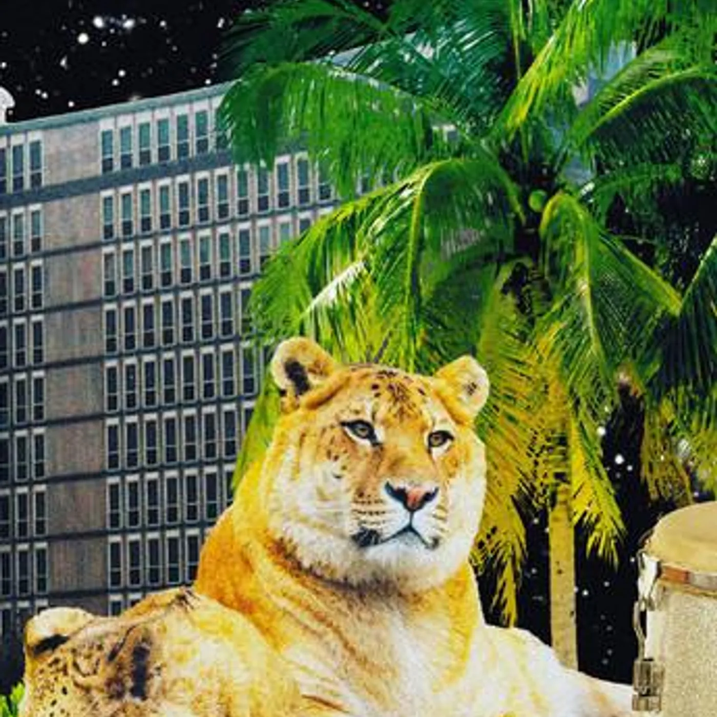 Magic Source Brand Page