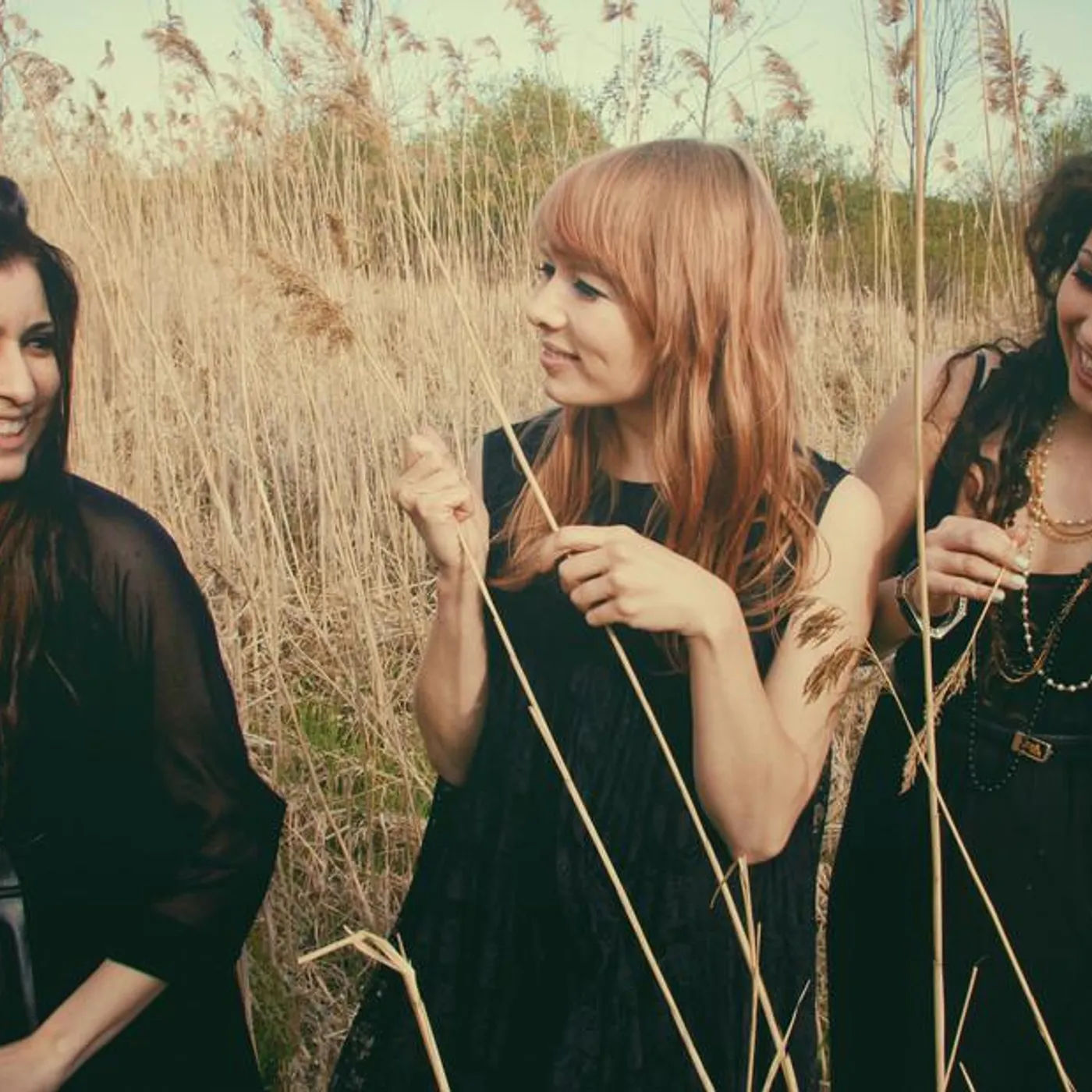 Magneta Lane Brand Page