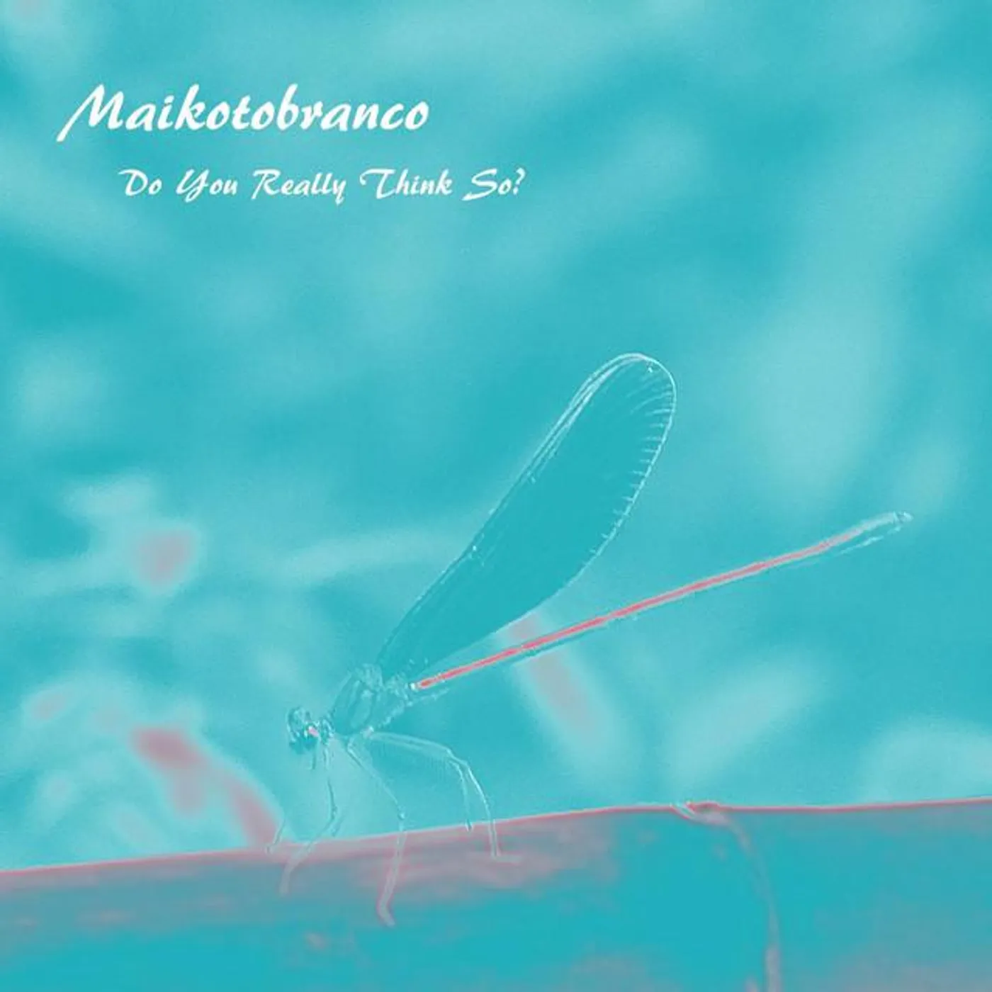 Maikotobranco Brand Page