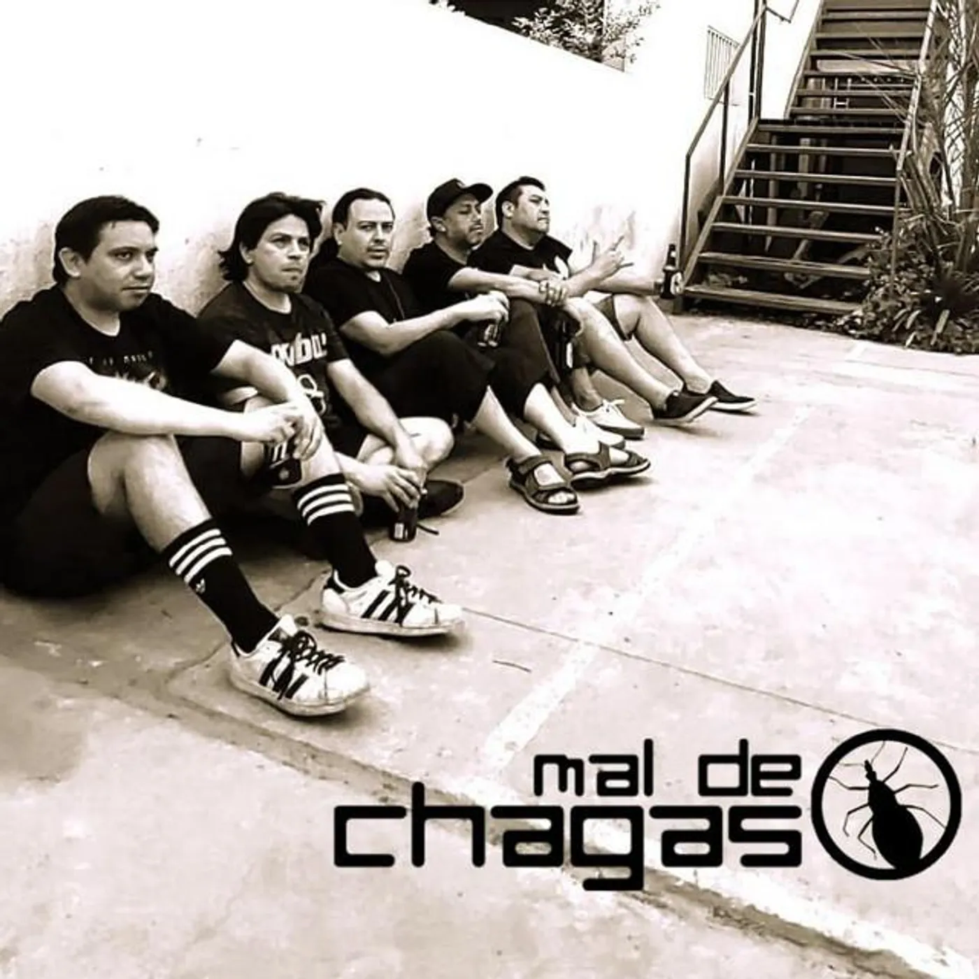 Mal de Chagas